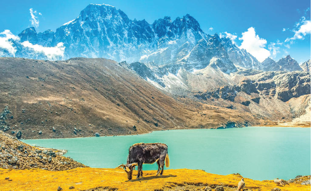 13 Days Gokyo Valley Trekking