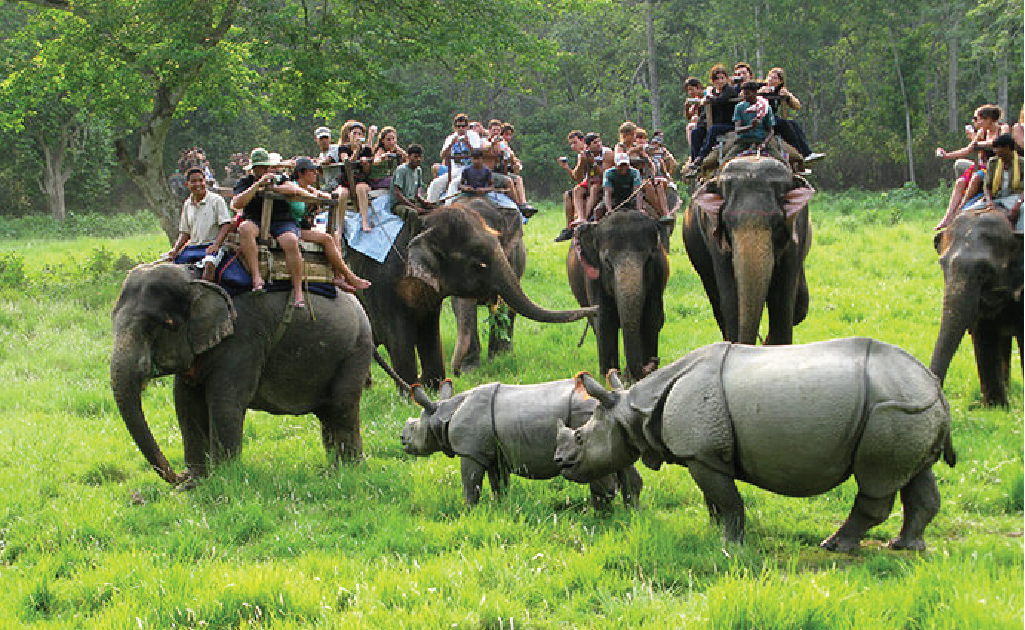 Cultural Tour of Kathmandu, Pokhara, and Chitwan