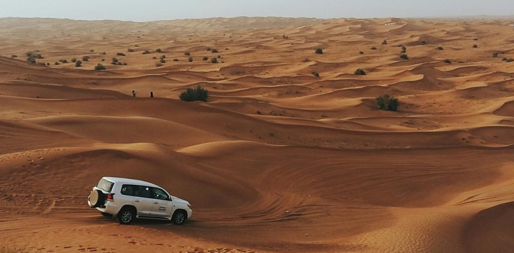 Desert Safari and Burj Khalifa Tour Package