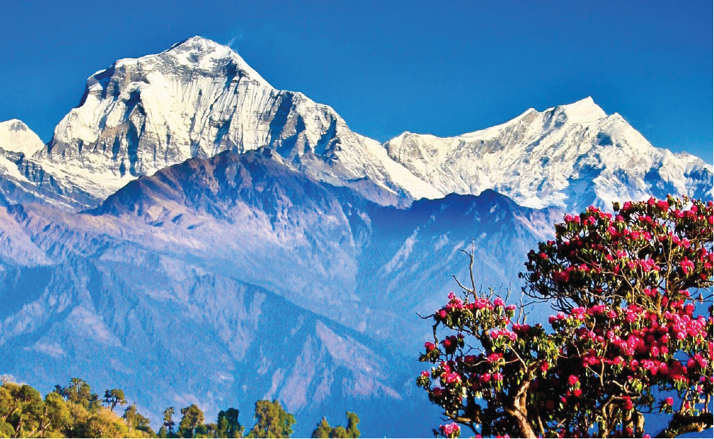 Ghorepani Poon Hill Trekking