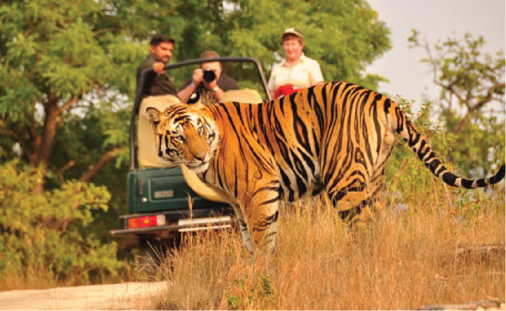 Kathmandu Chitwan Lumbini Bardia Tour